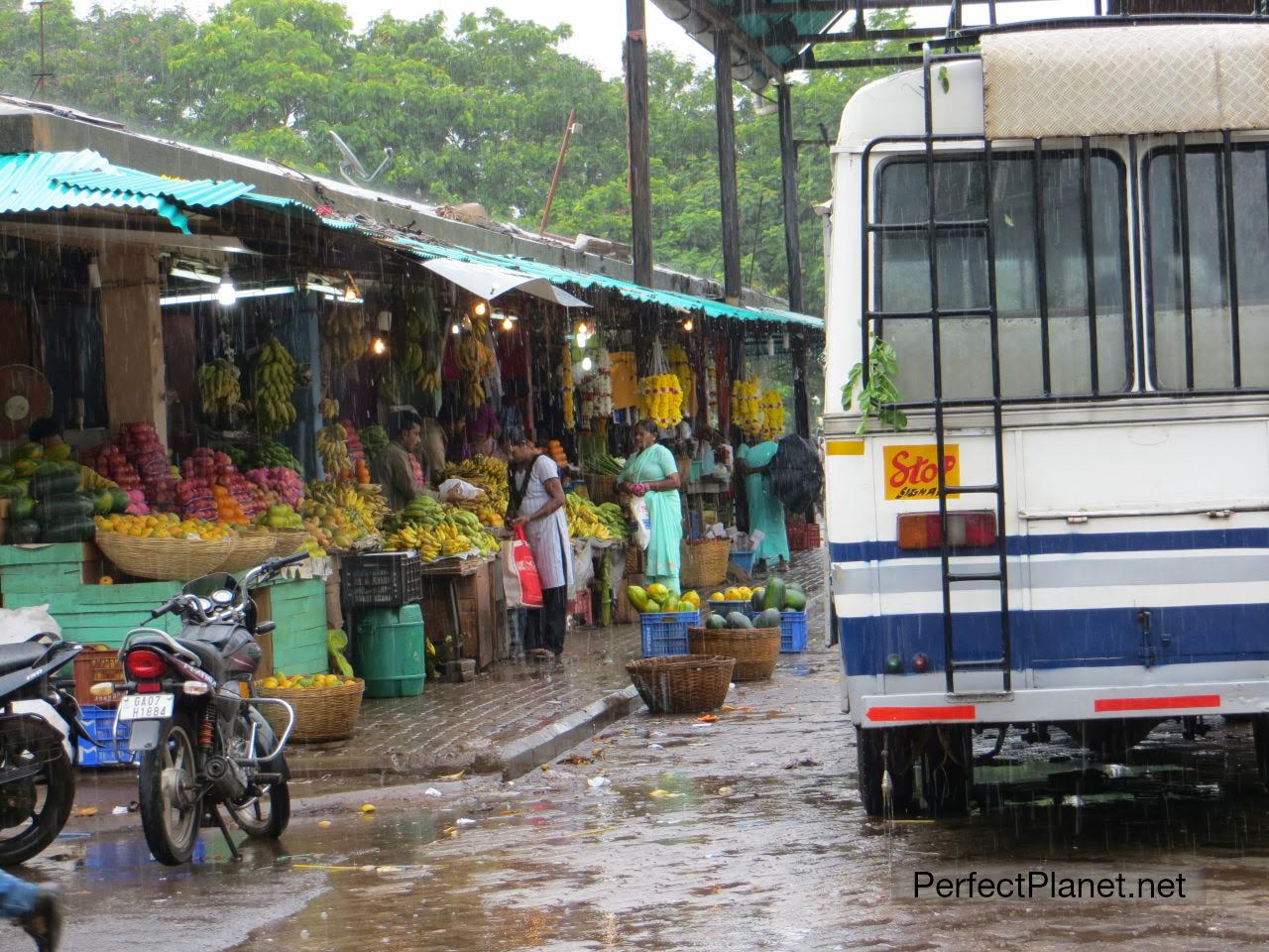 Panjim Bus Station