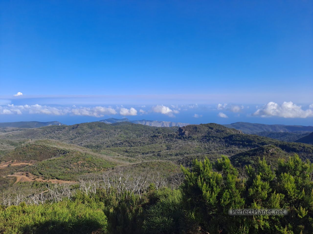 Views from Alto del Garajonay