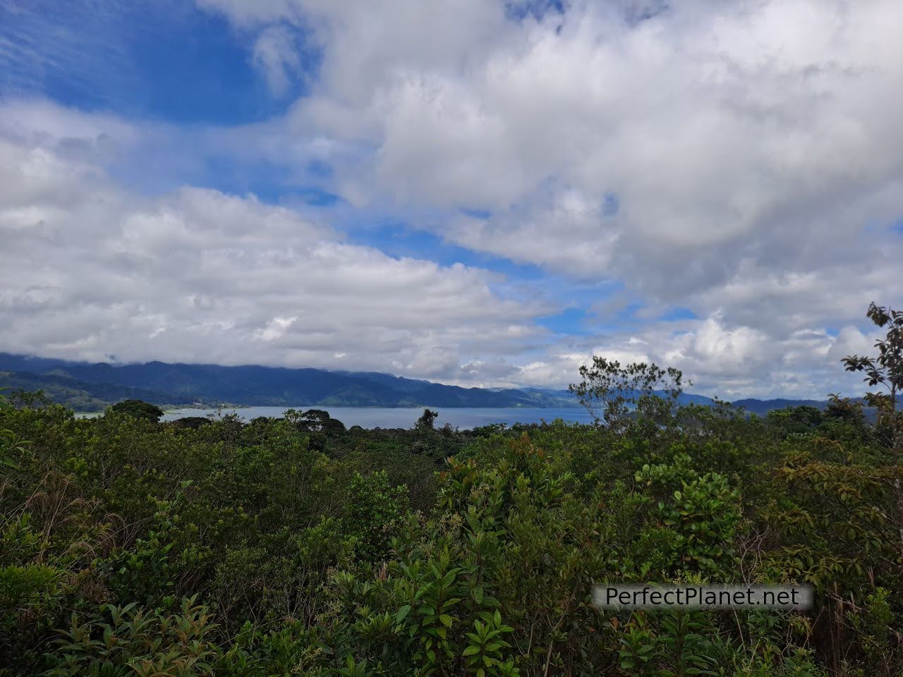 Laguna Arenal