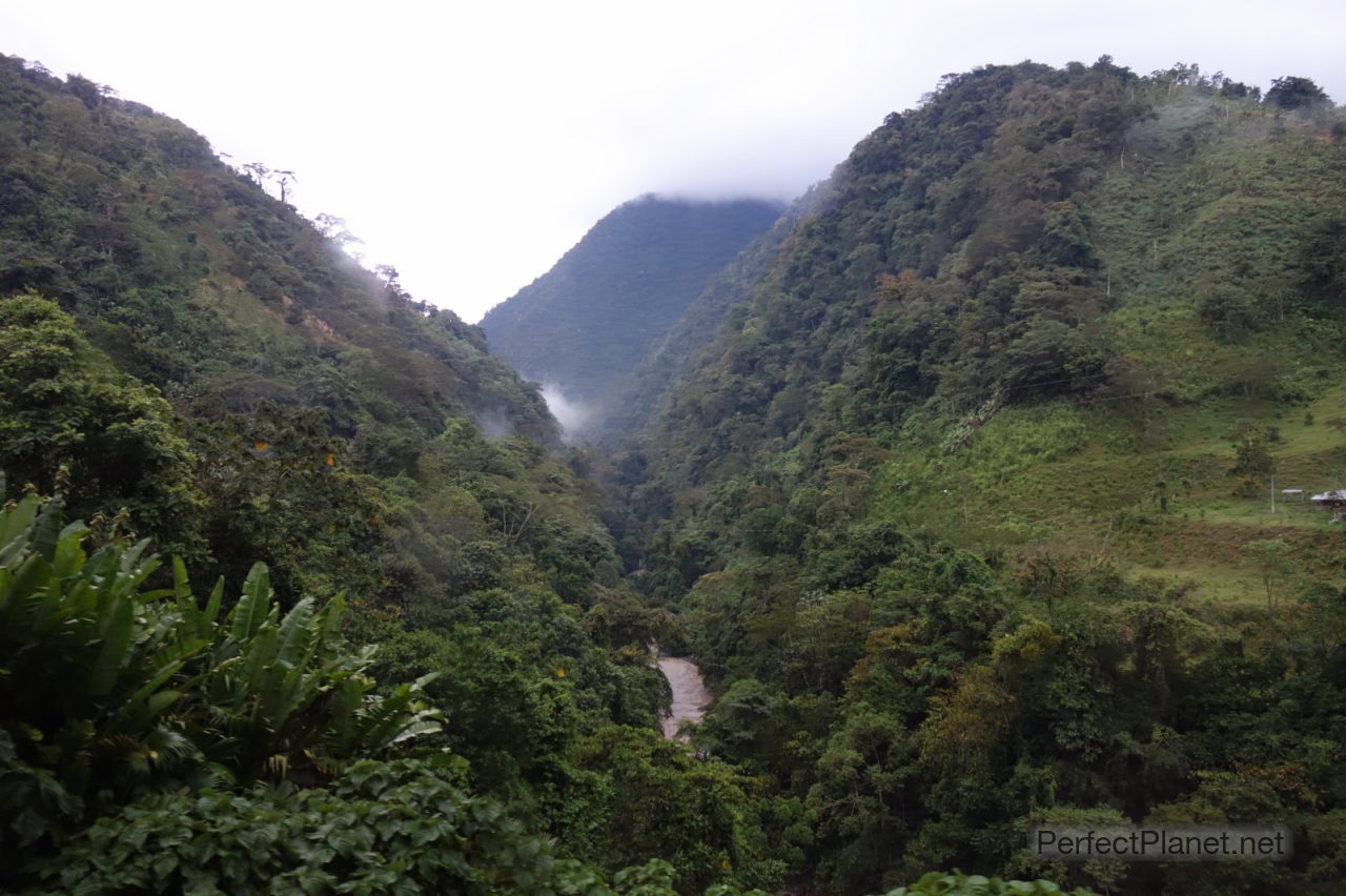Road to Medellín