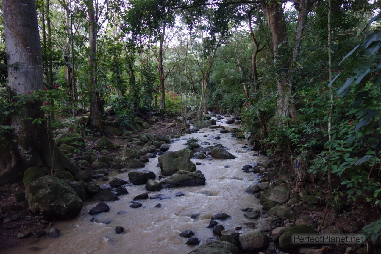 El Gallineral Park