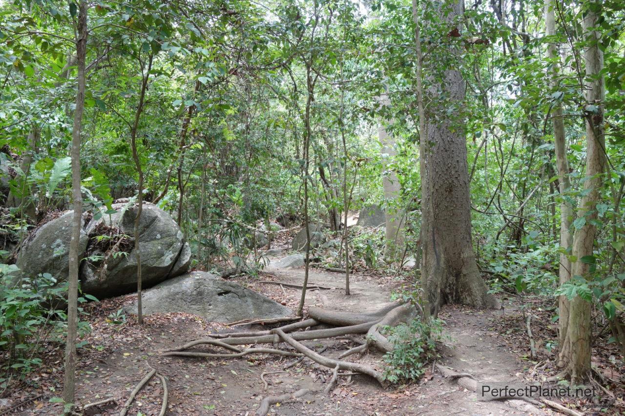 Tayrona National Park