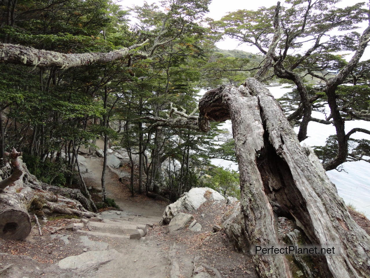 Coastal Path