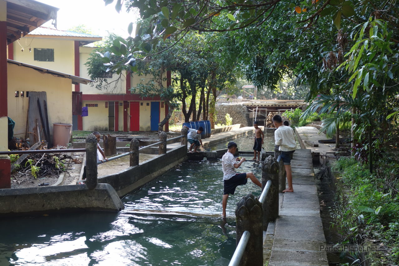 Children swimming