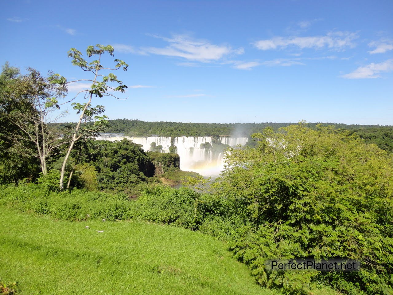 Iguazu Falls