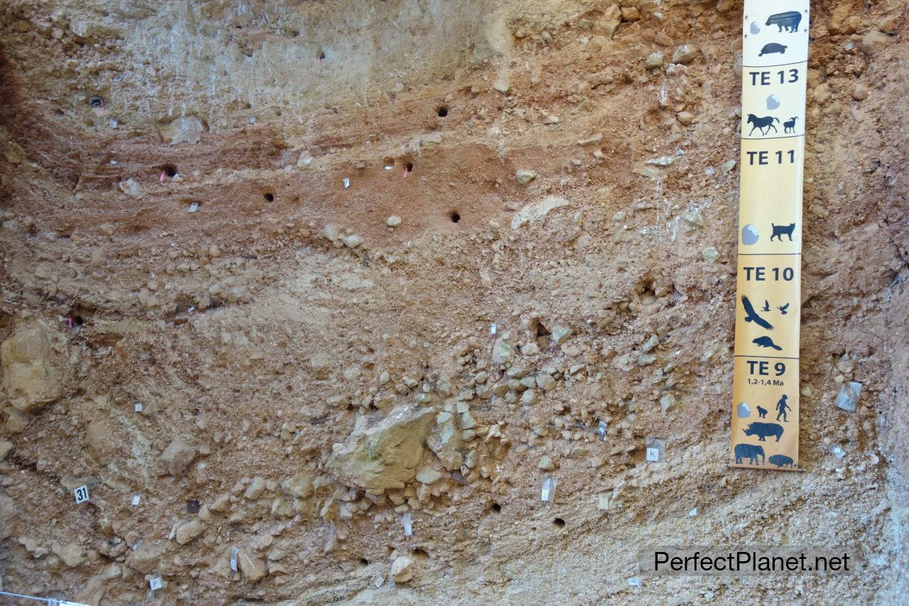 Yacimientos de Atapuerca