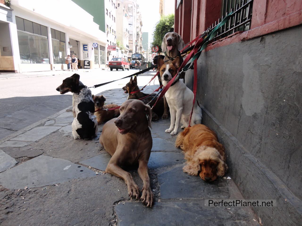 San Telmo neighborhood