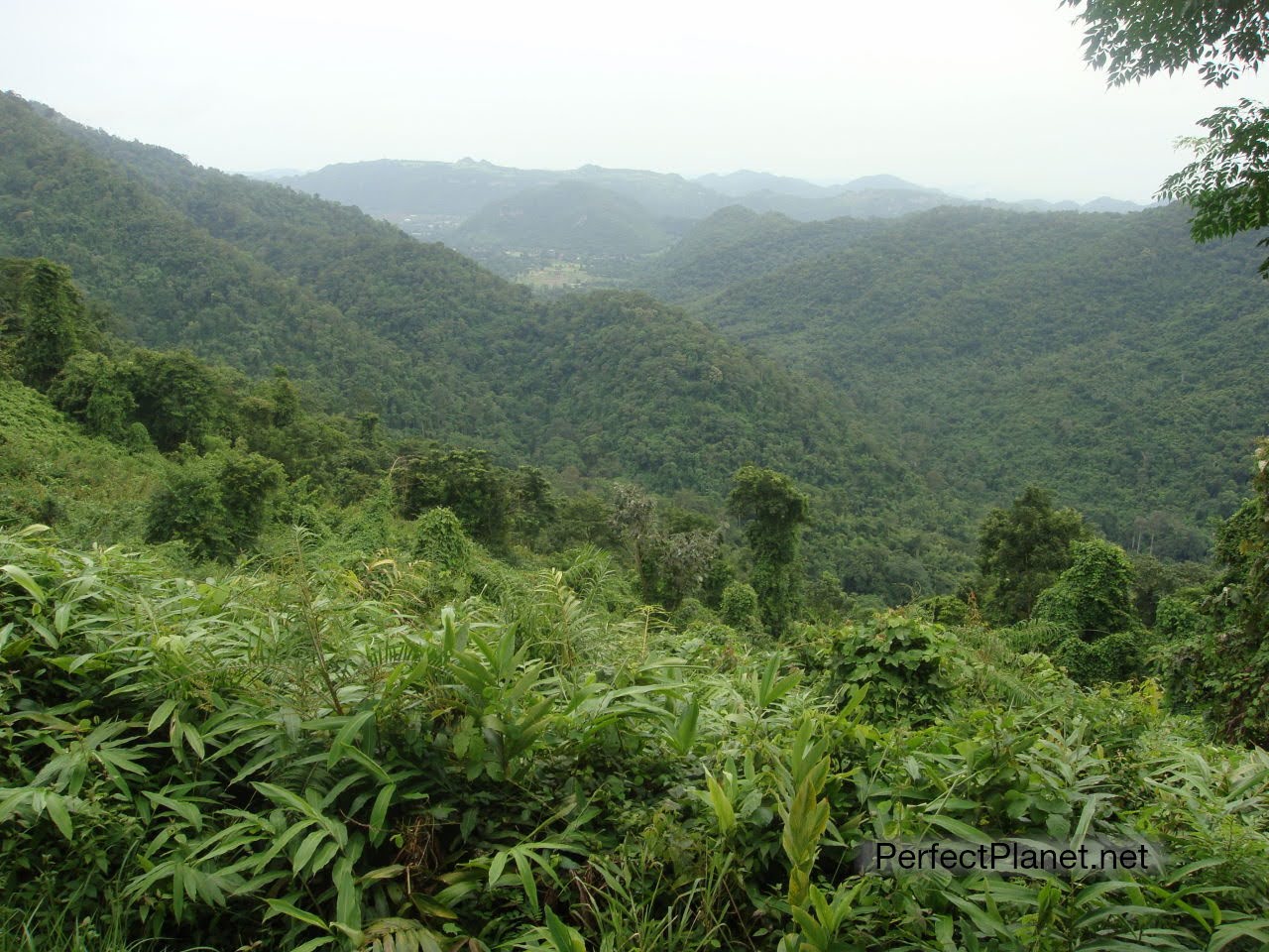 Khao Yai National Park