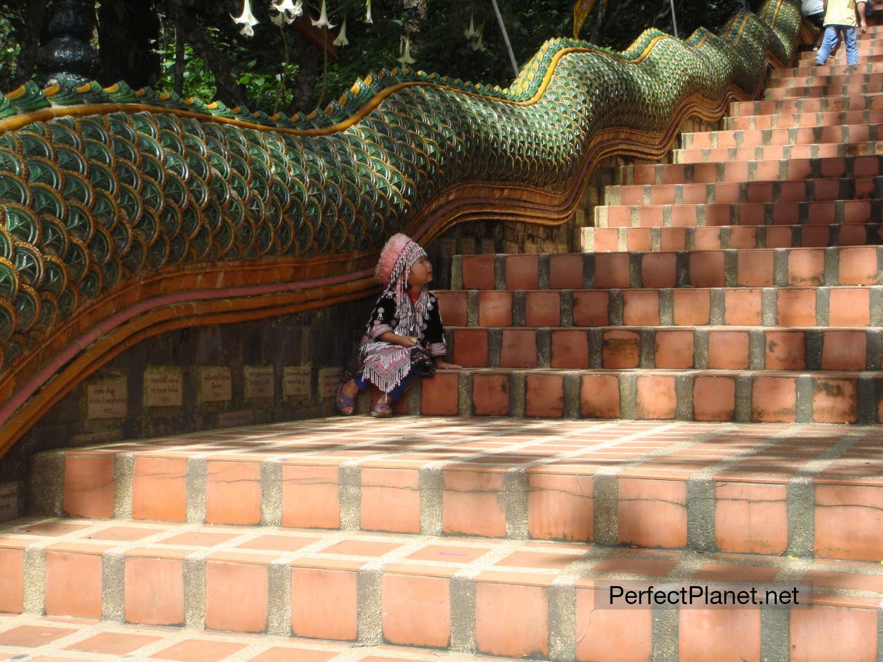 Girl sitting