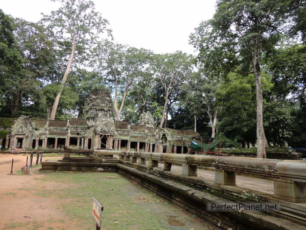 Ta Prohm