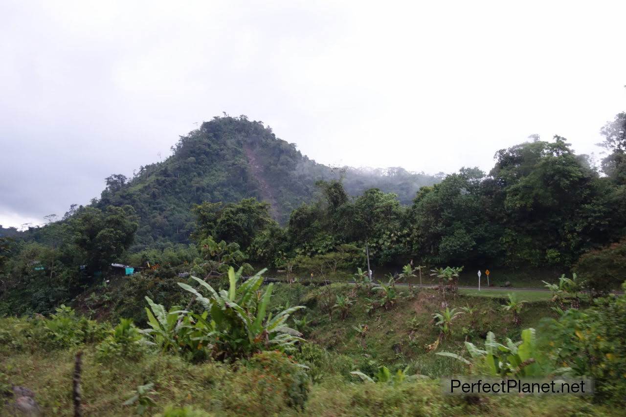 Landscape road to Medellín