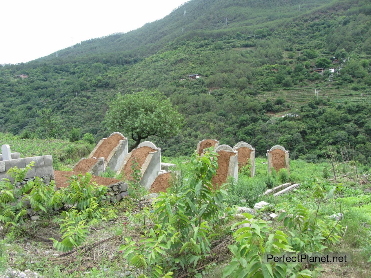 Cemetery