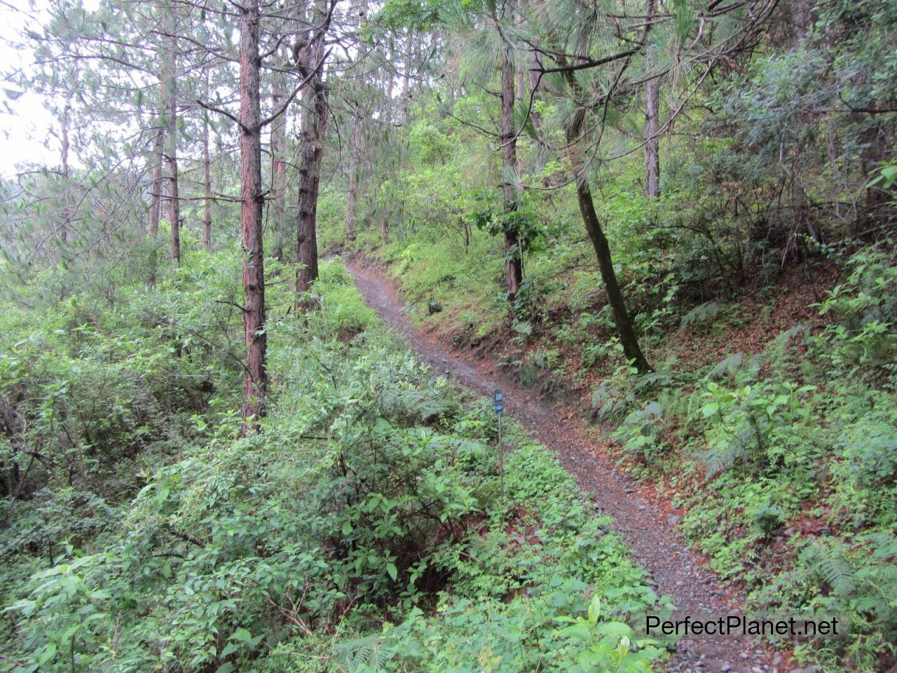 On the way back to Qiaotou