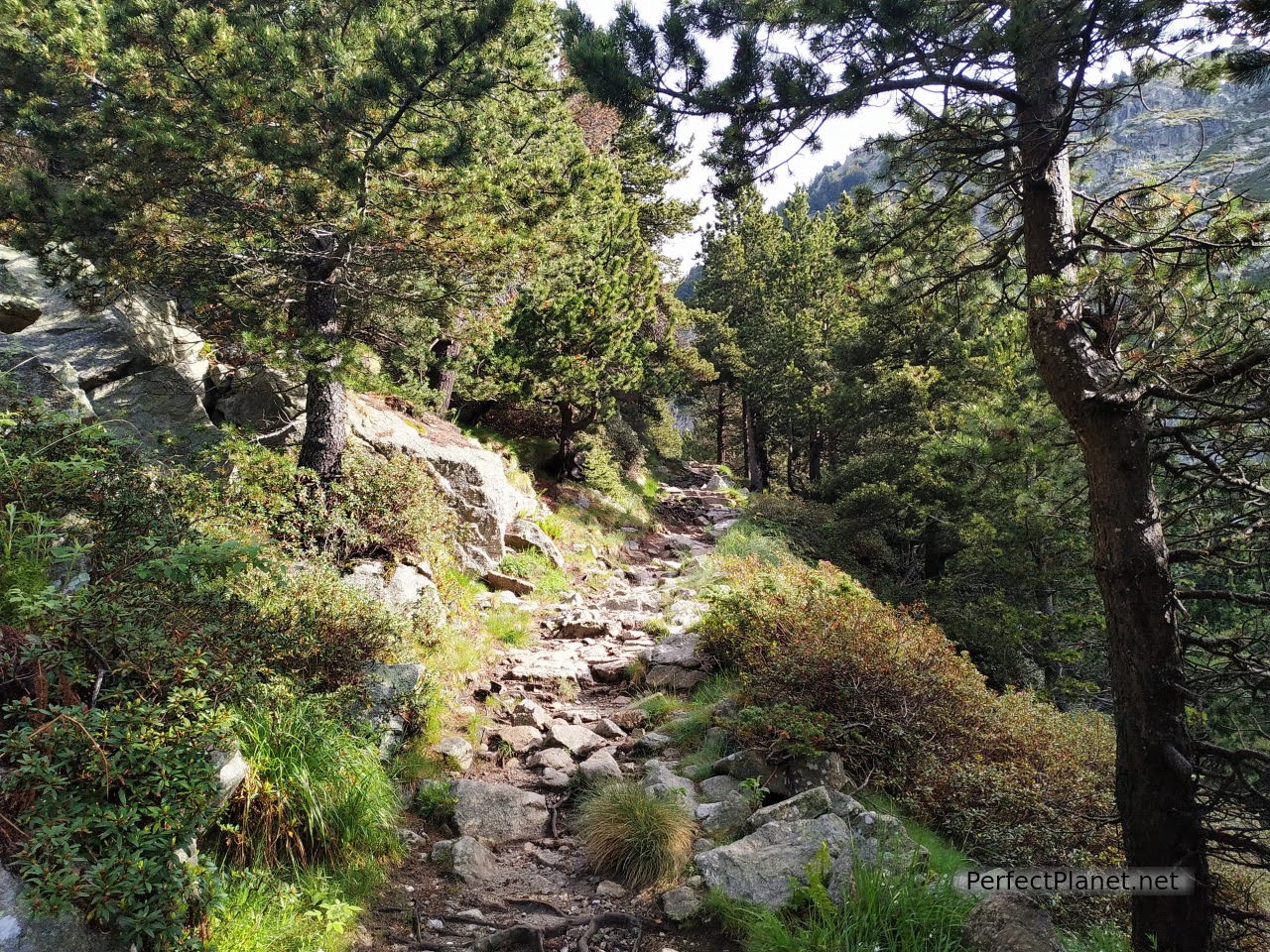 Núria Gorges