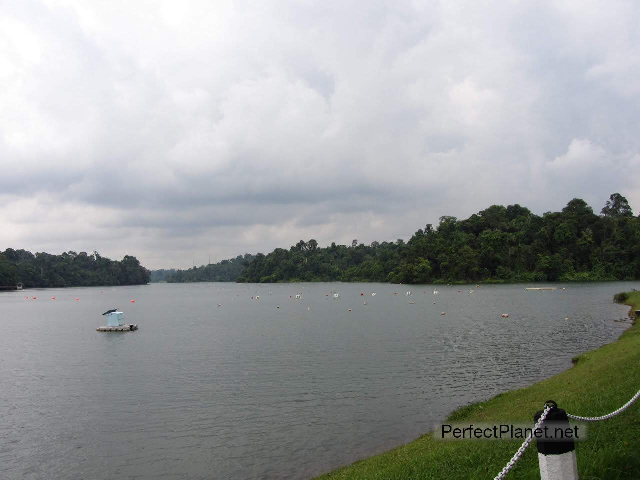 Bukit Timah Nature Reserve