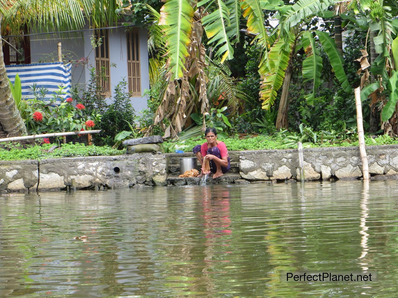 Life in the canals