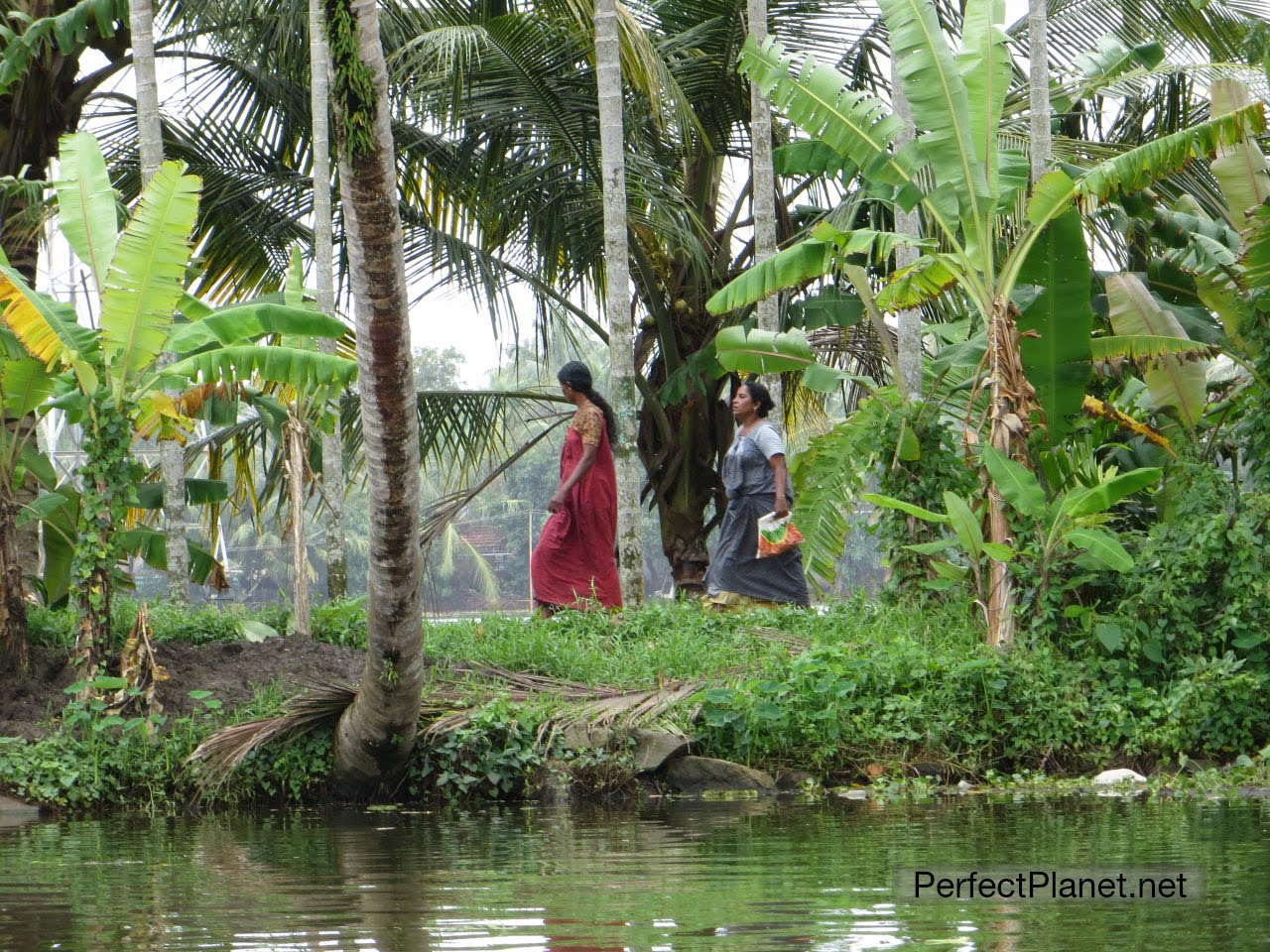 Mujeres paseando