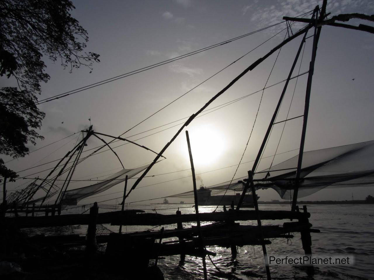 Chinese fishing nets