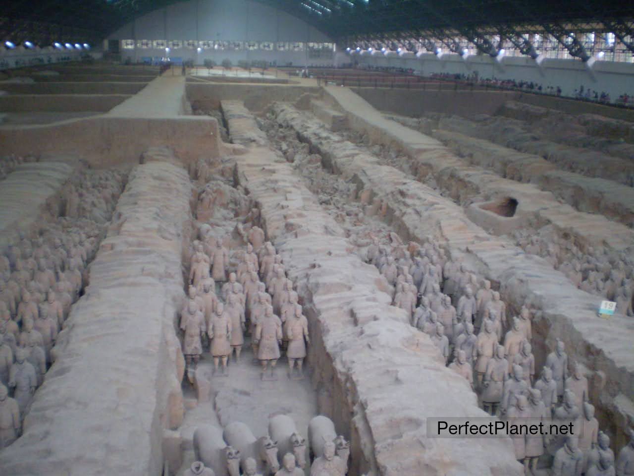 Guerreros de Terracota