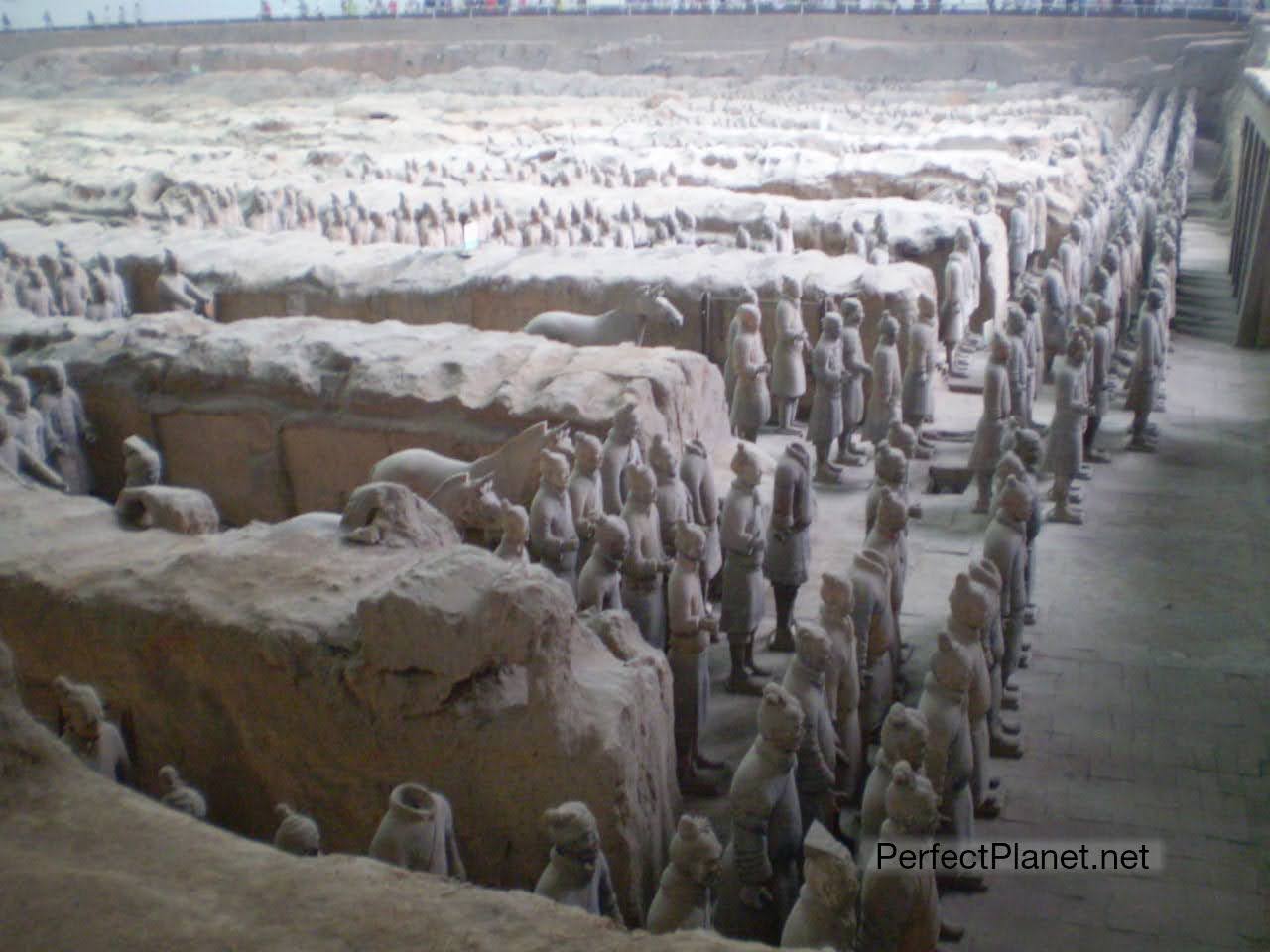 Guerreros de Terracota