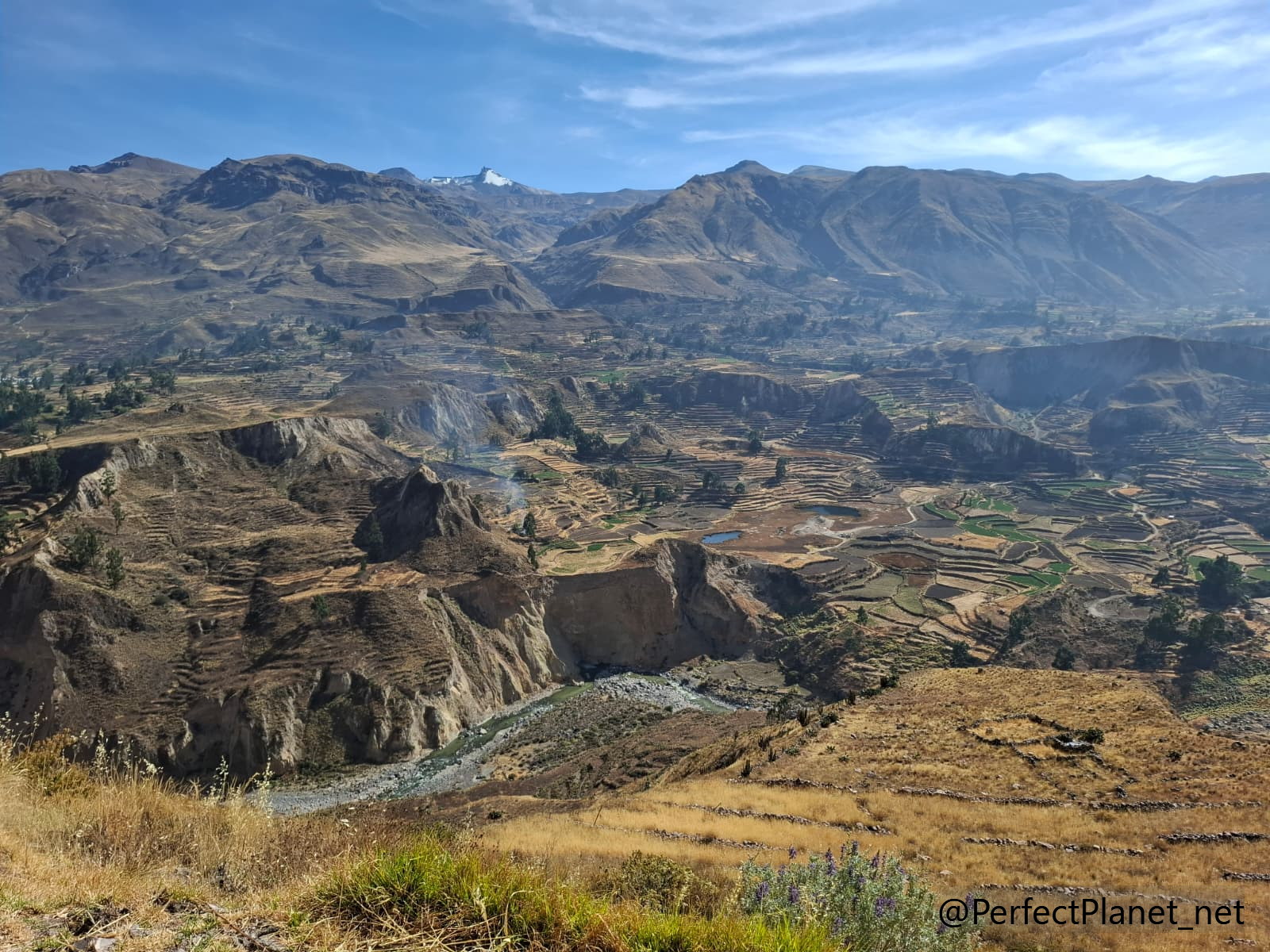 Colca