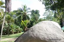 Camping Don  Pedro Parque Nacional Tayrona