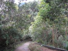Parque Nacional del Kinabalu