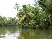 Backwaters