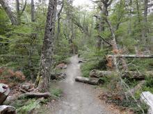 Parque de Tierra del Fuego