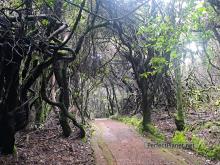 Sendero Laguna Botos