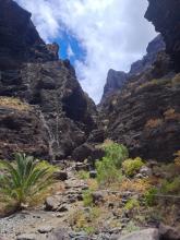 Barranco de Masca