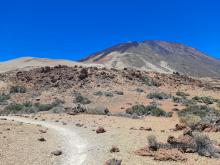 Parque Nacional del Teide