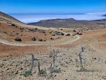 Teide National Park