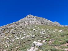 Polinosa peak